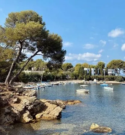 Superbe 2p Mezzanine Au Coeur Du Vieil Daire Antibes